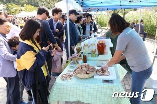 본문 이미지 - 영동군 6회 자연산 버섯 음식거리 축제 모습.  (영동군 제공)