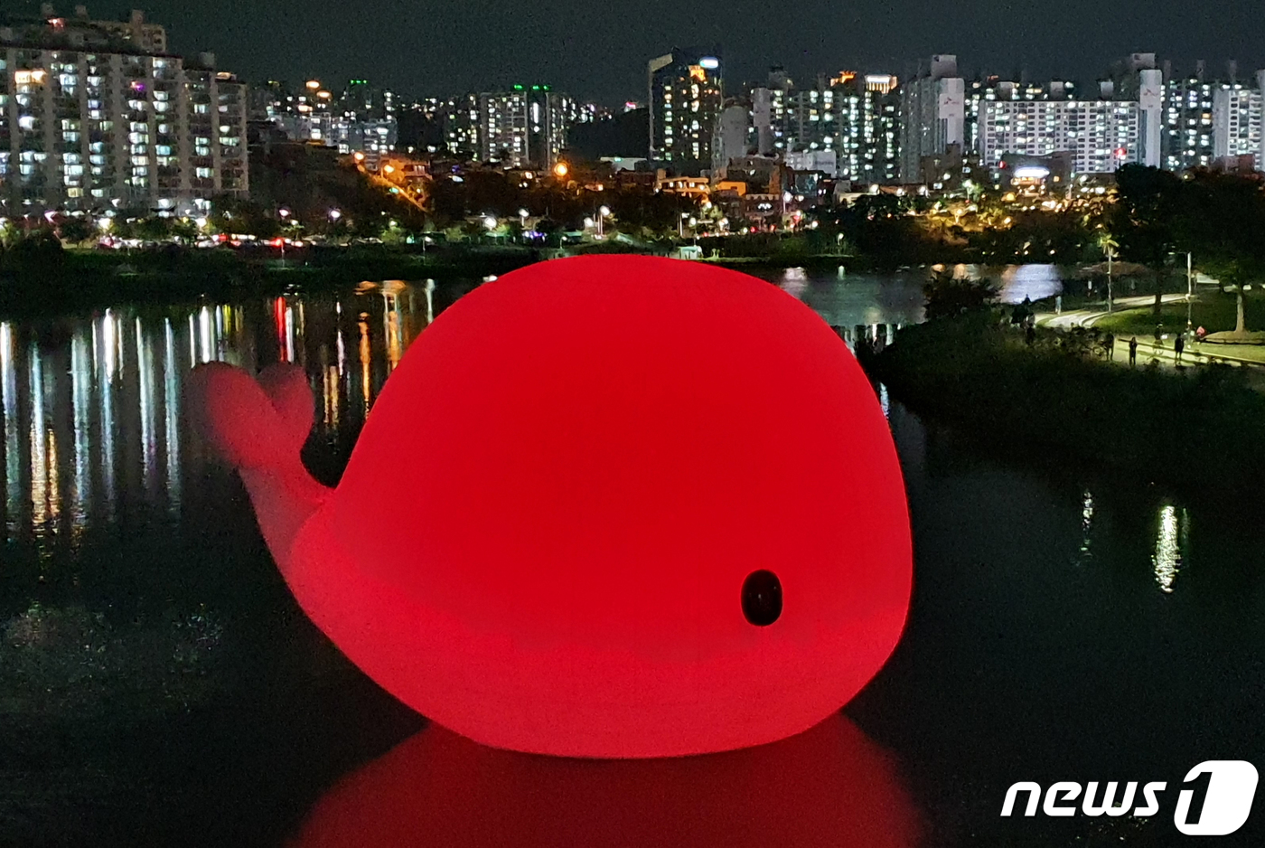 (울산=뉴스1) 윤일지 기자 = 23일 오후 울산 태화강 십리대밭교 아래 설치된 대형 고래 조형물 '러브웨일'이 환하게 빛나고 있다. 상괭이 모양의 대형 고래 조형물 '러브웨일'은 …