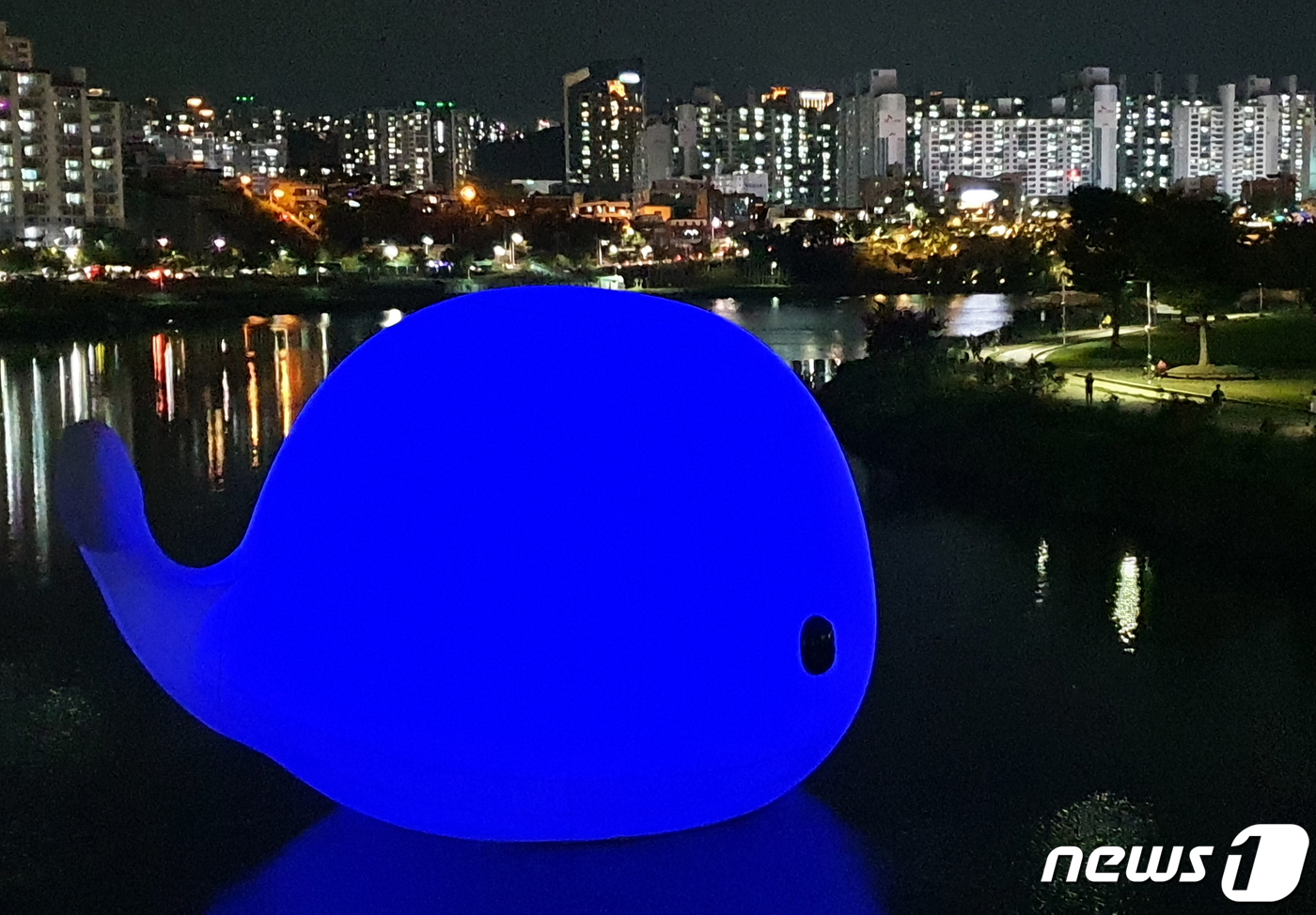 (울산=뉴스1) 윤일지 기자 = 23일 오후 울산 태화강 십리대밭교 아래 설치된 대형 고래 조형물 '러브웨일'이 환하게 빛나고 있다. 상괭이 모양의 대형 고래 조형물 '러브웨일'은 …