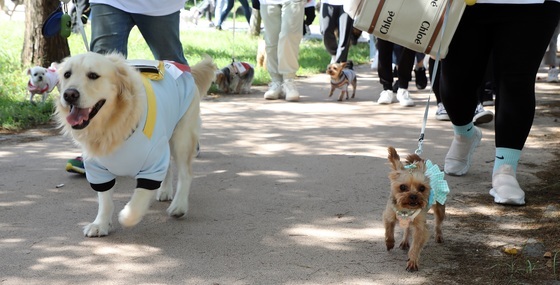 제주도, 반려동물 등록 수수료 2027년 12월까지 '면제'