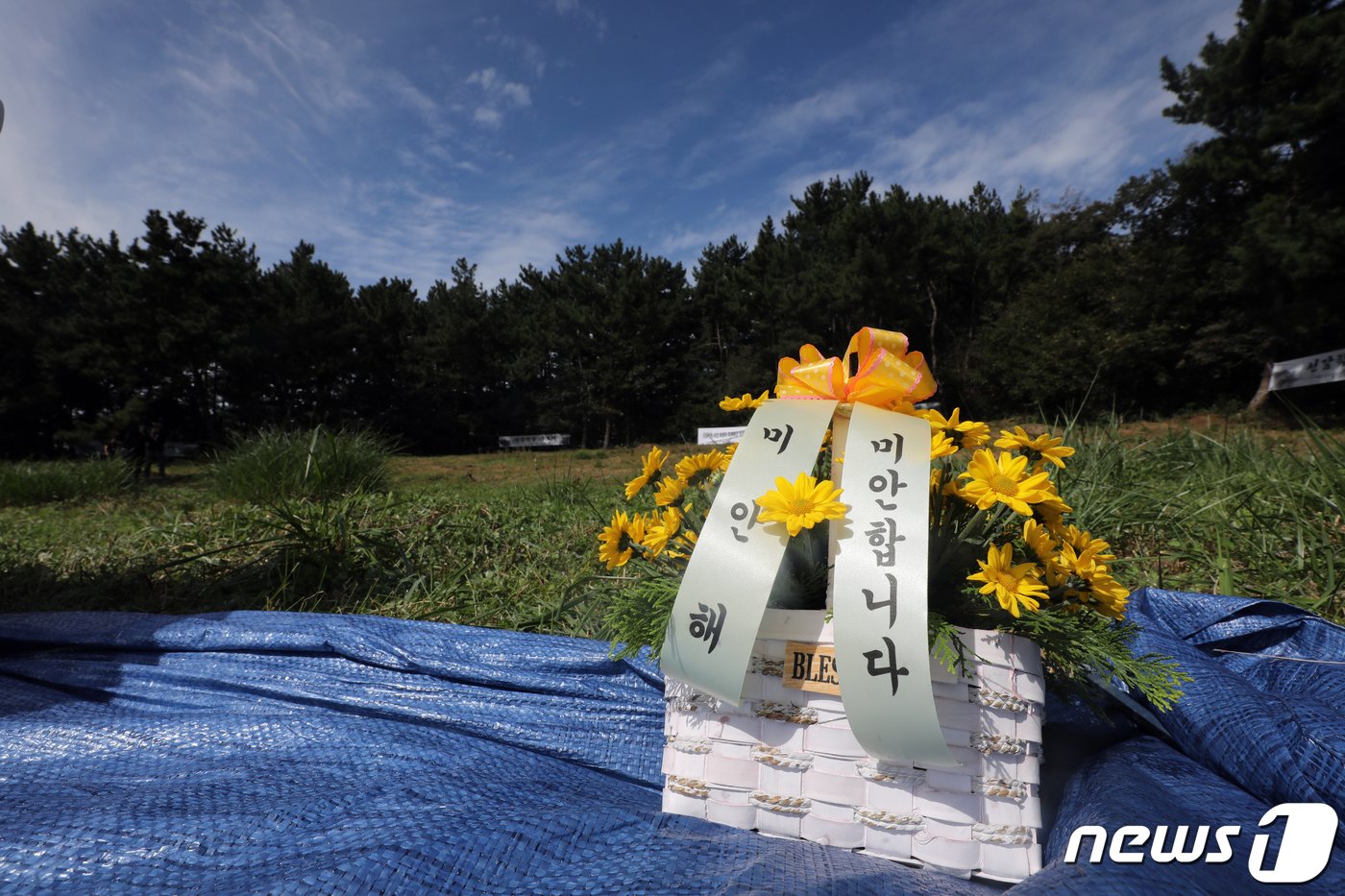 본문 이미지 - 26일 오전 경기 안산시 단원구 선감학원 아동 인권침해 유해 매장지에 '미안해·미안합니다'가 적힌 꽃이 놓여져 있다. 진실화해를위한과거사정리위원회는 이날부터 유해 150여 구가 매장된 것으로 추정되는 경기 안산시 선감동에서 개토제를 열고, 유해 발굴 작업을 시작했다. 일제강점기에 설립된 선감학원은 1982년까지 운영, 부랑아 갱생 등 명분으로 아동·청소년을 강제 연행해 격리 수용했다. 원생 최소 4천691명이 강제노역에 동원시키거나 폭력·고문을 했으며, 다수는 탈출 과정에서 바다에 빠져 목숨을 잃었다는 의혹이 제기됐다. 2022.9.26/뉴스1 ⓒ News1 황기선 기자
