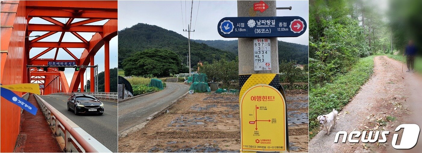 본문 이미지 - 남파랑길 이모저모. 남파랑길 리본이 펄럭이는 네 번째 교량 / 지나치기 쉬운 명소를 알려주는 ‘여행힌트 표지판’. 사진의 왼쪽에 왕후박나무 거목이 있다 / 임도에 운동 나온 어르신을 앞장선 노견.