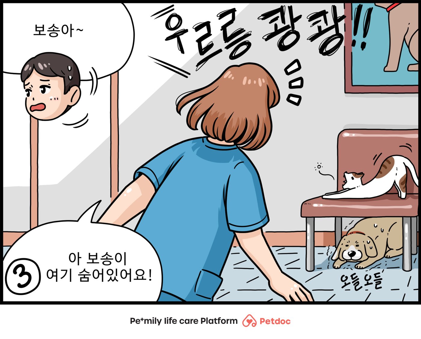 본문 이미지 - 테크니션 사연툰(펫닥 제공)