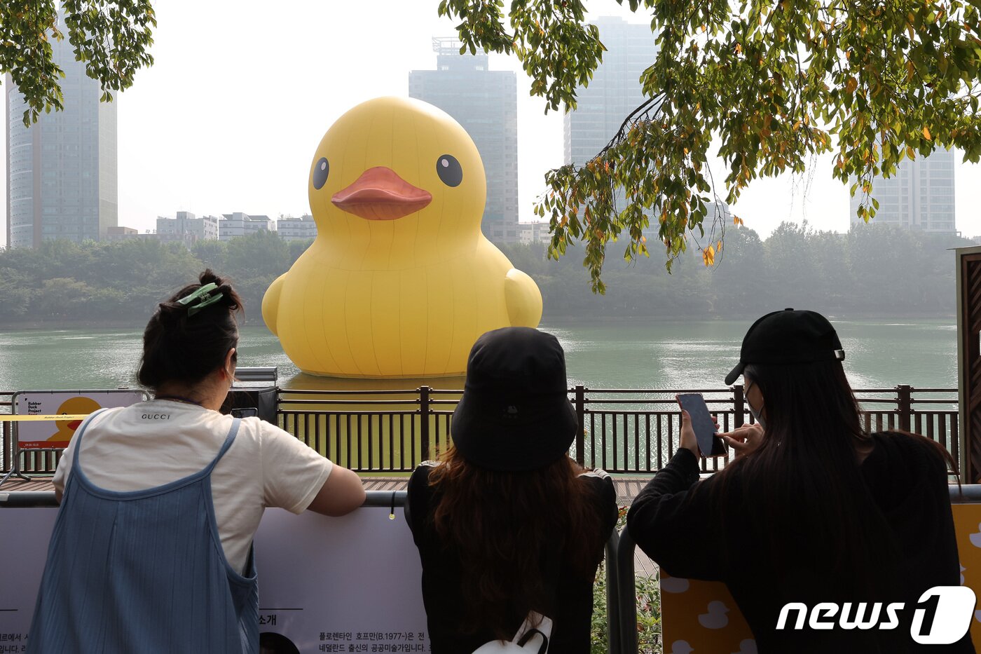 본문 이미지 - 29일 서울 송파구 석촌호수에 대형 고무 오리 '러버덕(Rubber Duck)'이 떠 있다. 2022.9.29/뉴스1 ⓒ News1 이동해 기자