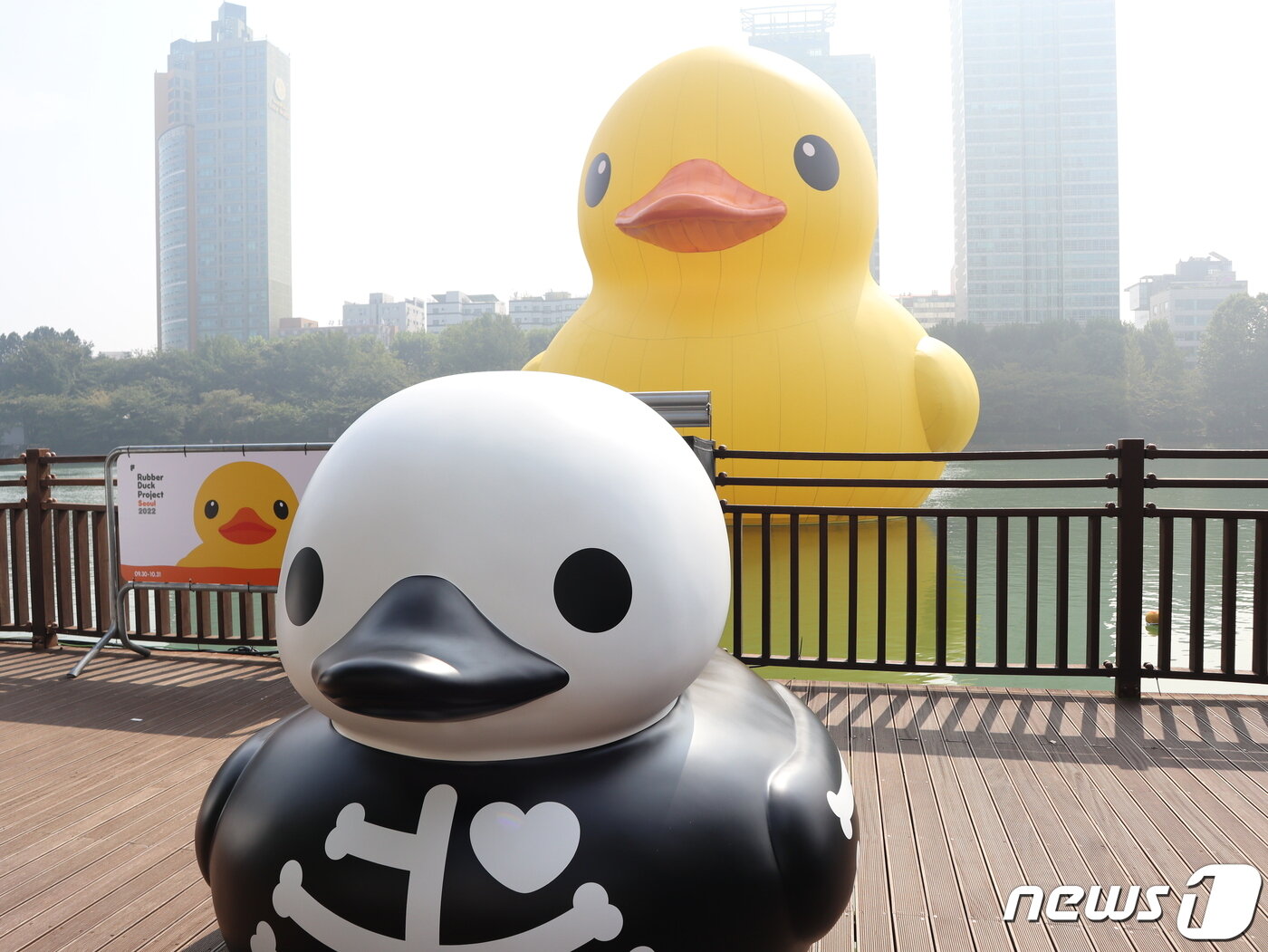 본문 이미지 - 29일 서울 송파구 석촌호수에 러버덕이 떠 있다. 앞에는 해골덕이다. 2022.9.29/뉴스1 ⓒ News1 김정한 기자