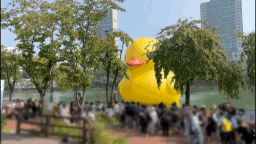 본문 이미지 -  29일 서울 잠실 석촌호수에 등장한 러버덕.