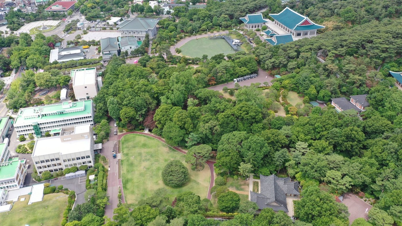 본문 이미지 - 청와대 노거수 군 전경. (문화재청 제공) 