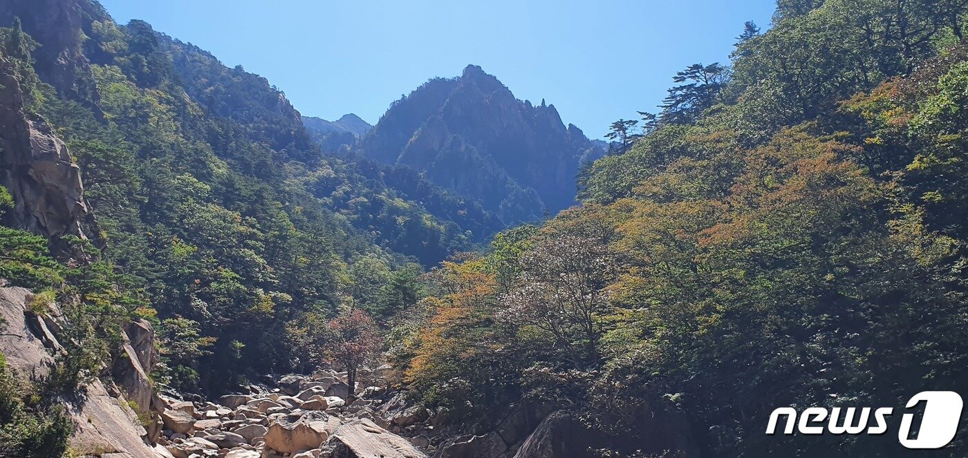 본문 이미지 - 본격 단풍철이 시작된 가운데 지난 29일 강원지역 단풍 명소인 설악산 비선대 인근에 울긋불긋 단풍이 물들고 있다.(설악산국립공원 사무소) 2022.9.30/뉴스1 ⓒ News1 윤왕근 기자