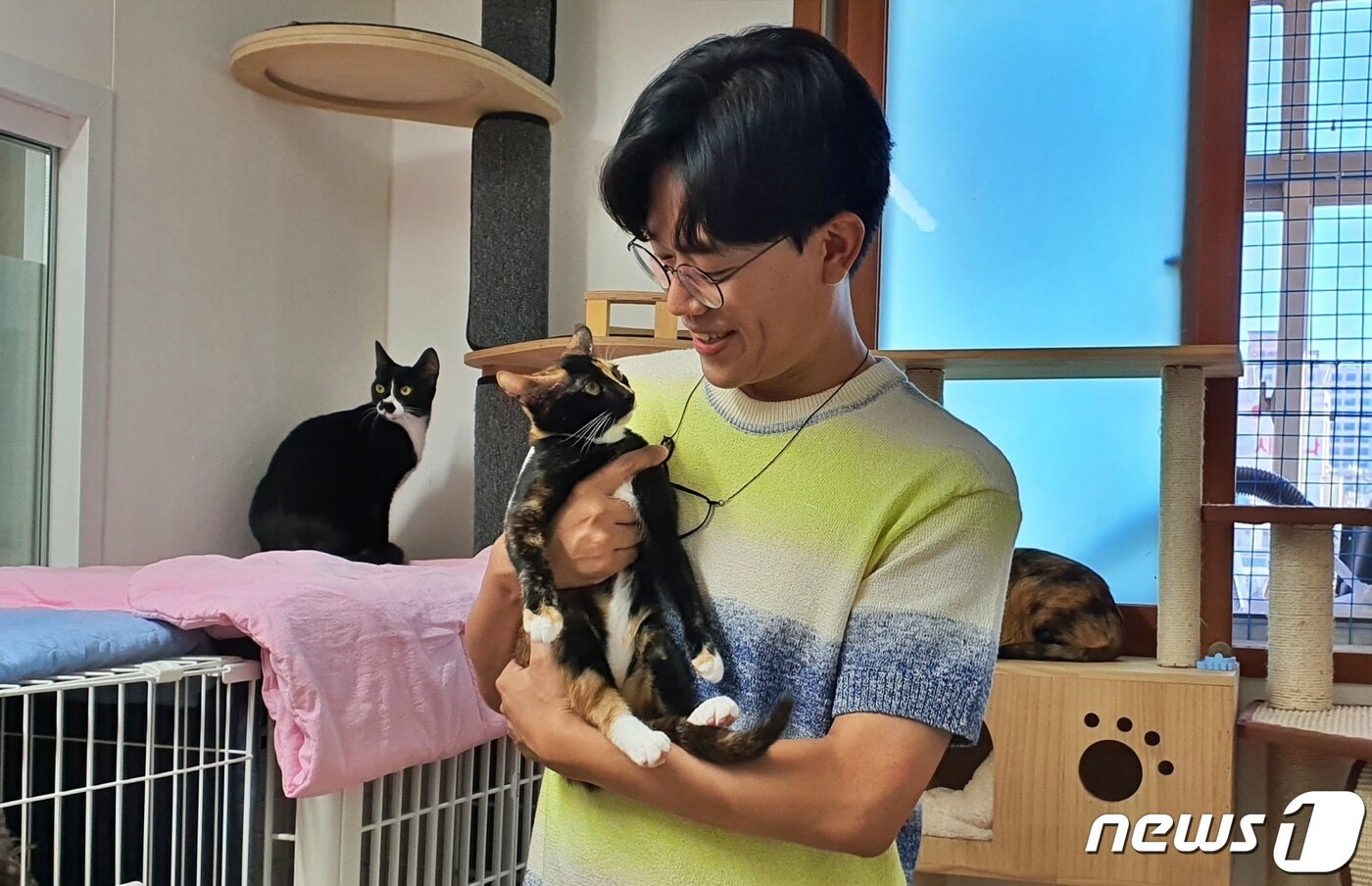 본문 이미지 - 김명철 수의사가 서울 발라당입양센터에서 고양이를 안고 있다. ⓒ 뉴스1 최서윤 기자