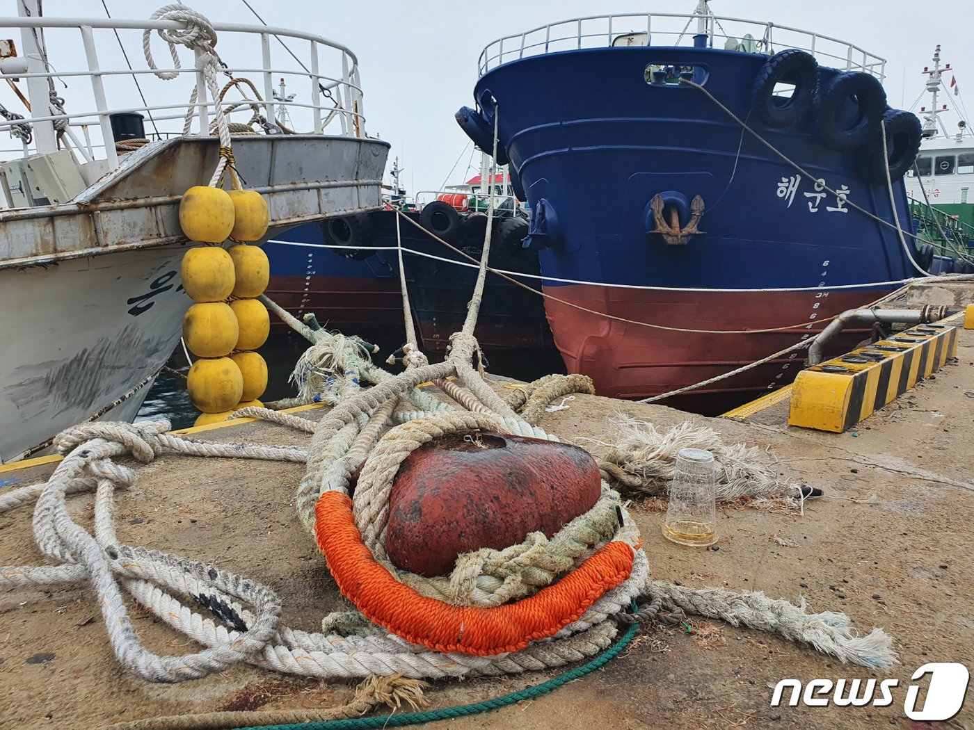 제11호 태풍 &#39;힌남노&#39;가 한반도로 북상 중인 가운데 5일 오전 전남 여수 국동항으로 피항한 대형 선박들이 굵은 밧줄을 부두에 묶은 채 태풍 대비를 하고 있다. 여수와 광양, 고흥 등 전남 동부권 항·포구에는 현재 7400척의 선박들이 피항해 있다.2022.9.5/뉴스1 ⓒ News1 김동수 기자