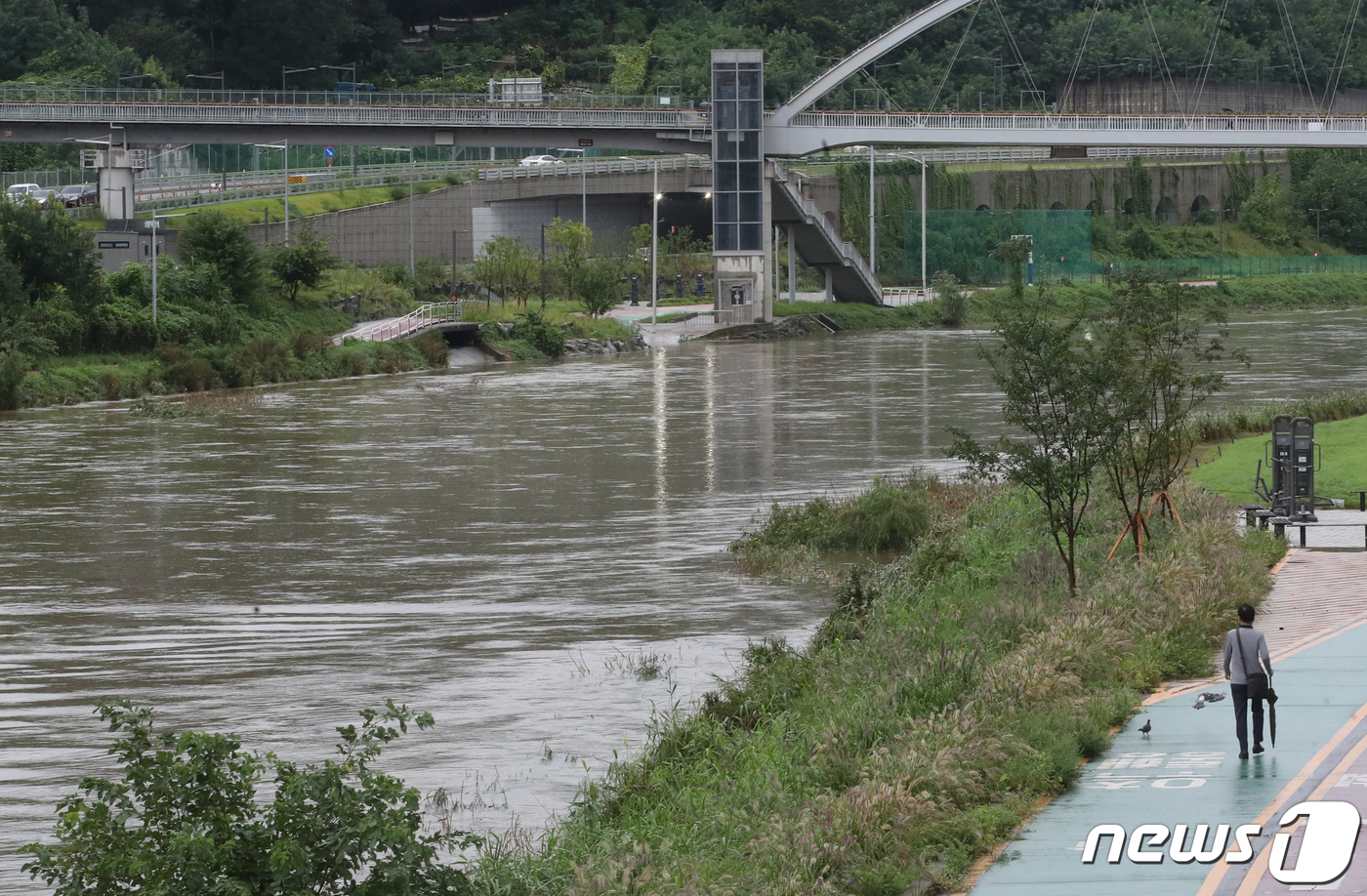 (서울=뉴스1) 송원영 기자 = 제11호 태풍 '힌남노'의 영향으로 6일 오전 서울 노원구 월계1교 부근 중랑천에 물이 불어나 있다. 2022.9.6/뉴스1