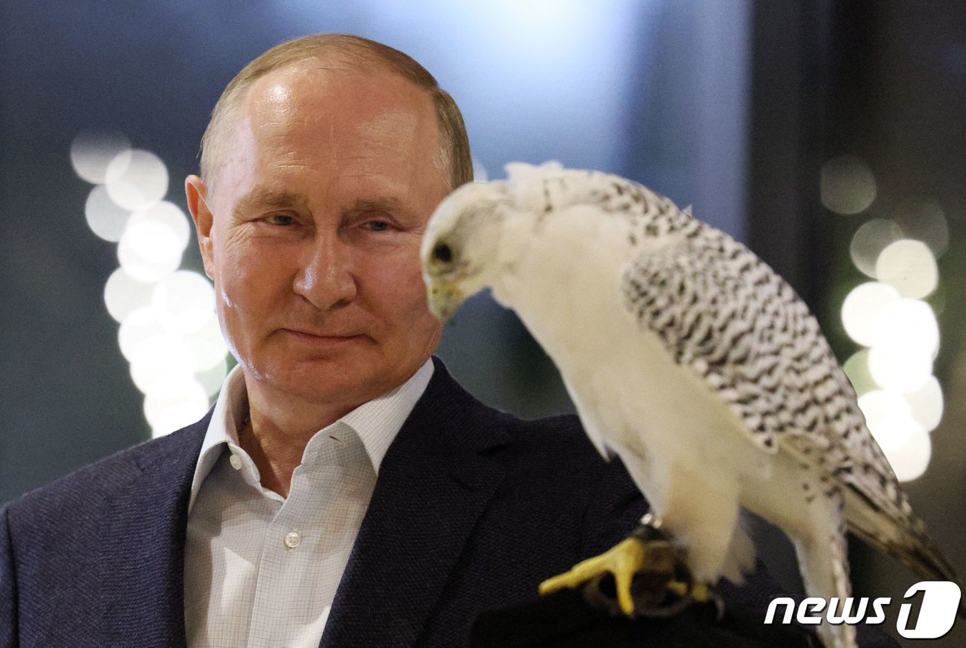 (페트로파블로프스크 캄차츠키 AFP=뉴스1) 우동명 기자 = 블라디미르 푸틴 러시아 대통령이 5일(현지시간) 극동 지역의 페트로파블로프스크 캄차츠키에서 캄차카 매를 바라 보고 있다 …