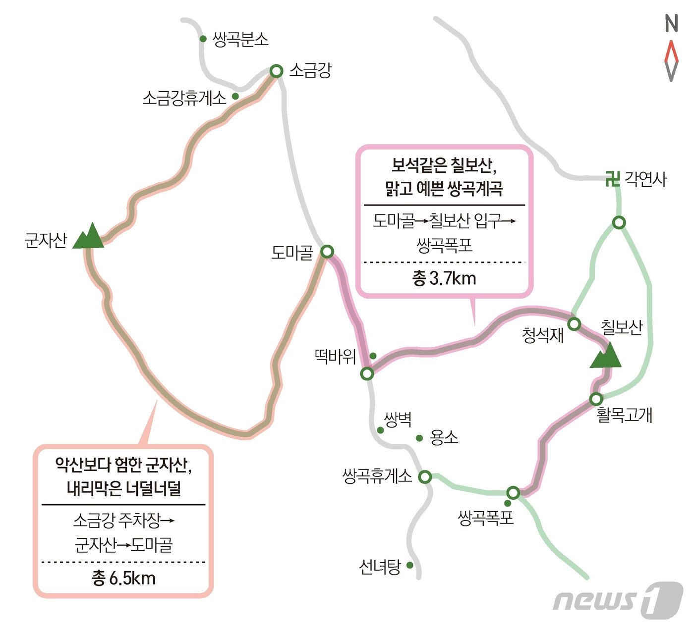본문 이미지 - ⓒ News1 최수아 디자이너