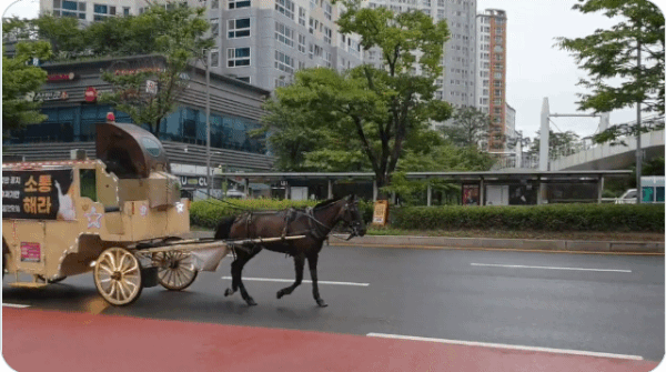 본문 이미지 - 지난 22일 게임 '우마무스메' 이용자들이 판교에서 마차 시위를 벌이는 모습. (트위터 갈무리)