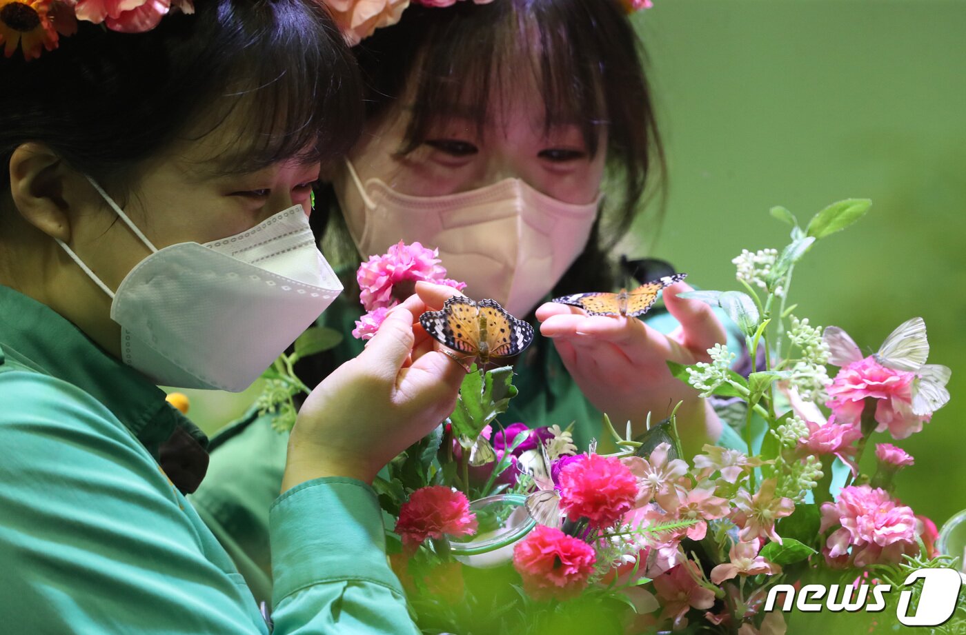 본문 이미지 - 12일 오전 경기 용인시 처인구 에버랜드 '라이브 나비체험관'에서 관계자들이 나비를 살펴보고 있다. 2023.1.12/뉴스1 ⓒ News1 김영운 기자