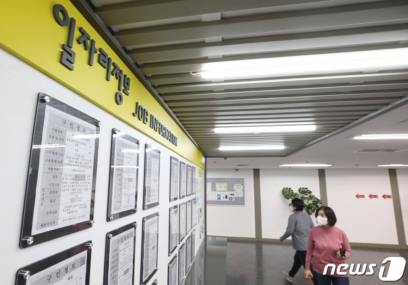 본문 이미지 - 서울 마포구 서울서부고용복지플러스센터를 찾은 시민이 일자리정보 게시판을 살펴보고 있다./뉴스1 ⓒ News1 김민지 기자