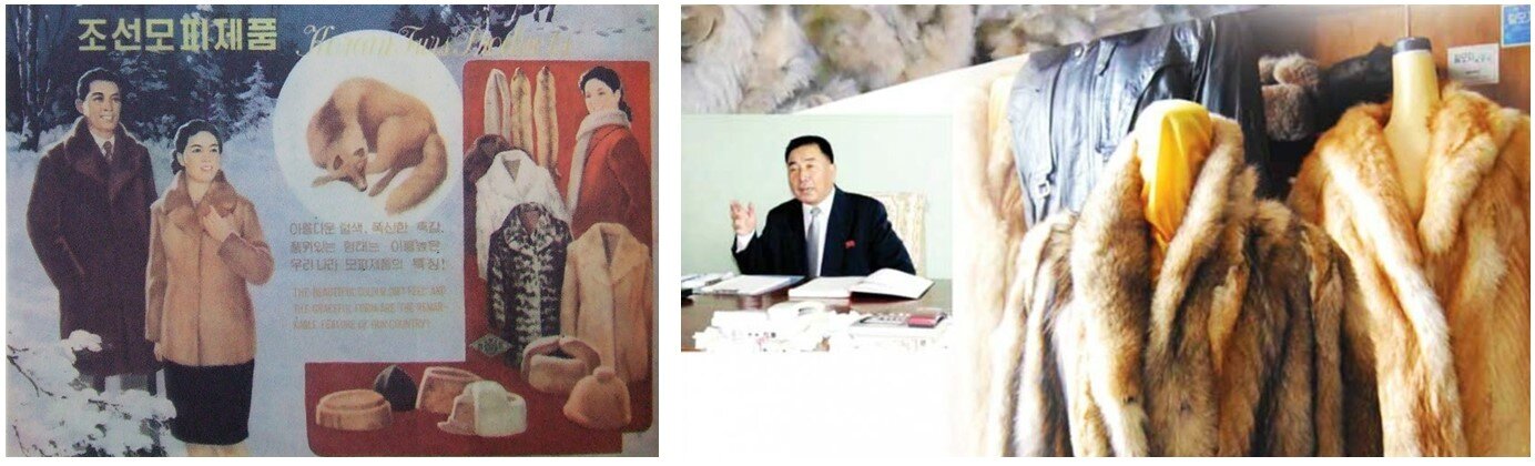 본문 이미지 - 70년대 후반 북한 모피제품의 수출 광고&#40;좌&#41;. 이 광고도안은 평양미술대학에서 디자인교육을 받은 북한 산업미술 1세대인 백락도&#40;1932-1984&#41;의 작품이다. 백락도는 만수대창작사에서 건축장식 도안을 담당한 공훈예술가였는데, 특이하게 모피제품 광고디자인을 맡아 작품이 &lt;조선예술&gt;에 소개되었다. 북한의 대외 무역 잡지 「Foreign Trade」&#40;2015&#41;에 실린 태흥모피무역회사의 상품 사진&#40;우&#41;. 태흥모피무역회사는 수출용 가죽, 모피 의류 및 인조 모피를 만드는 회사로 알려져 있다. 출처: 「조선예술」&#40;1979. 8&#41;; 「북한에도 디자인이 있을까: 북한산업미술 70년&#40;상권&#41;」&#40;2010&#41; 재인용, NK News&#40;2015. 6. 9&#41;