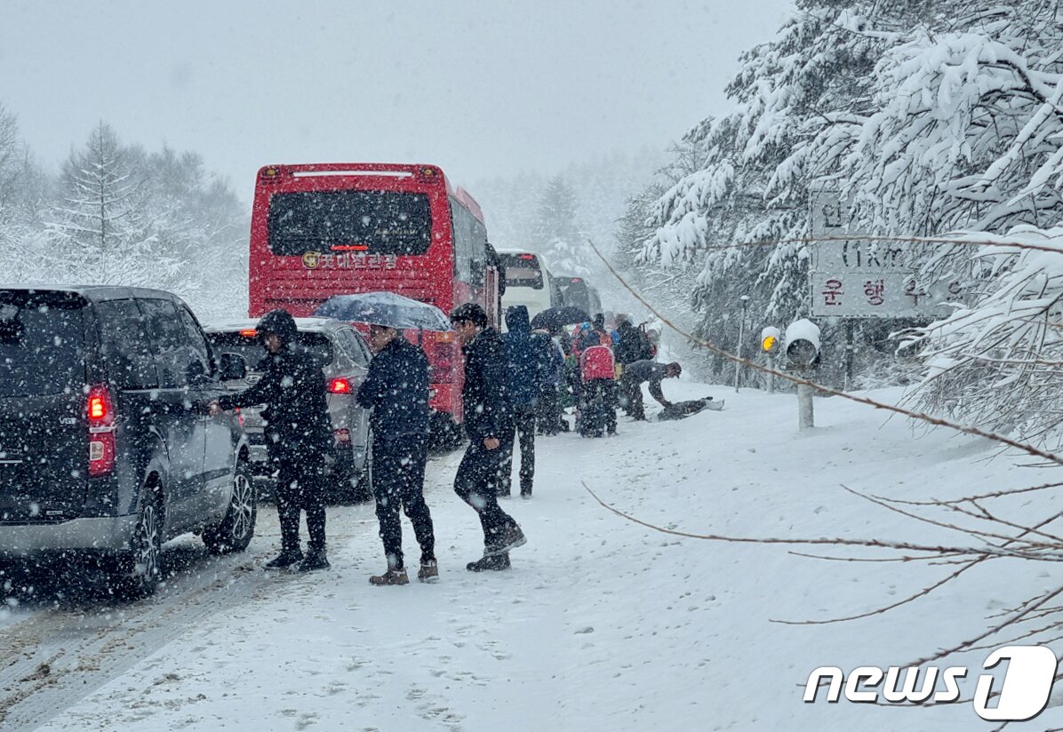 본문 이미지 - 강원 지역에 폭설이 내린 15일 오전 강원 평창군 대관령순환도로에서 차량이 눈길에 정체되고 있다. 2023.1.15/뉴스1 ⓒ News1 윤왕근 기자