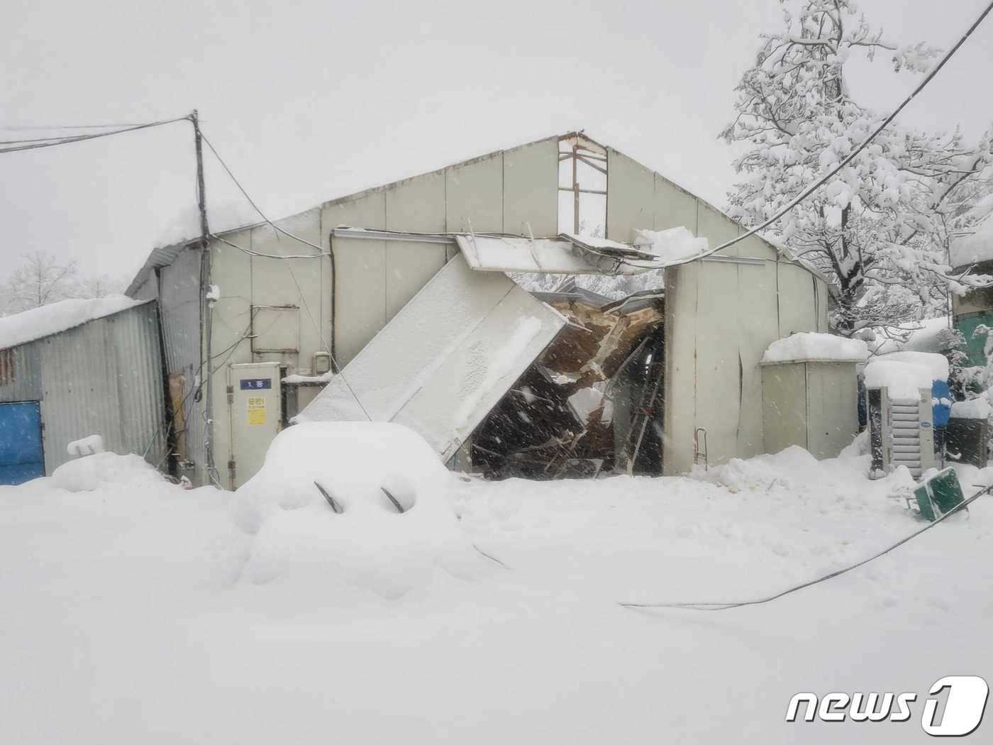 강원 고성군 간성읍 축사 붕괴 현장.&#40;강원도소방본부 제공&#41;