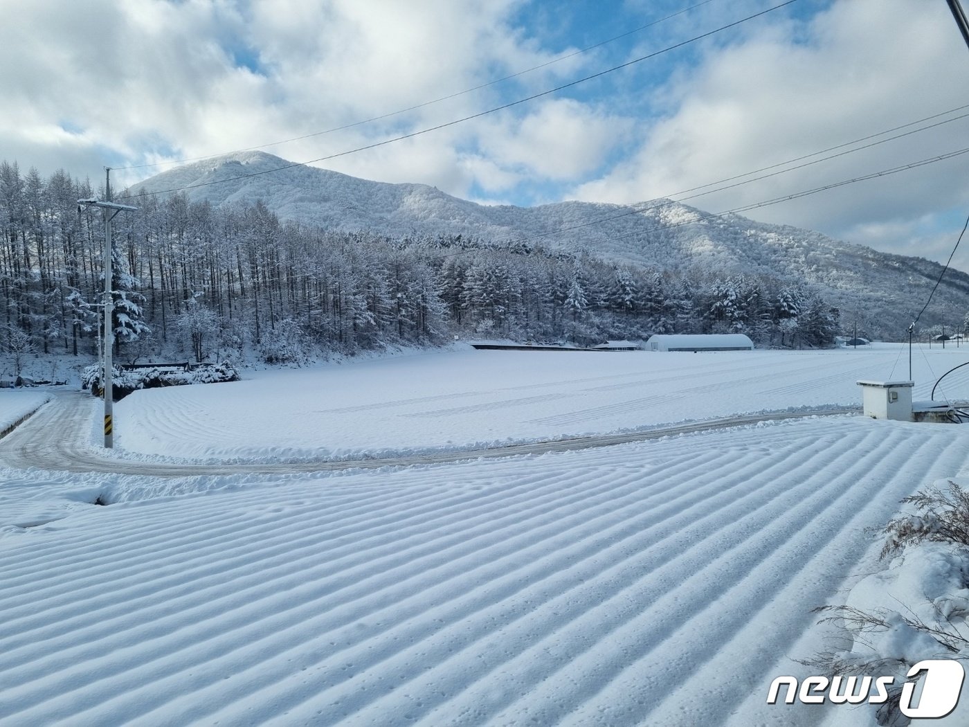 폭설 내린 강릉 왕산면 대기리.&#40;자료사진&#41;