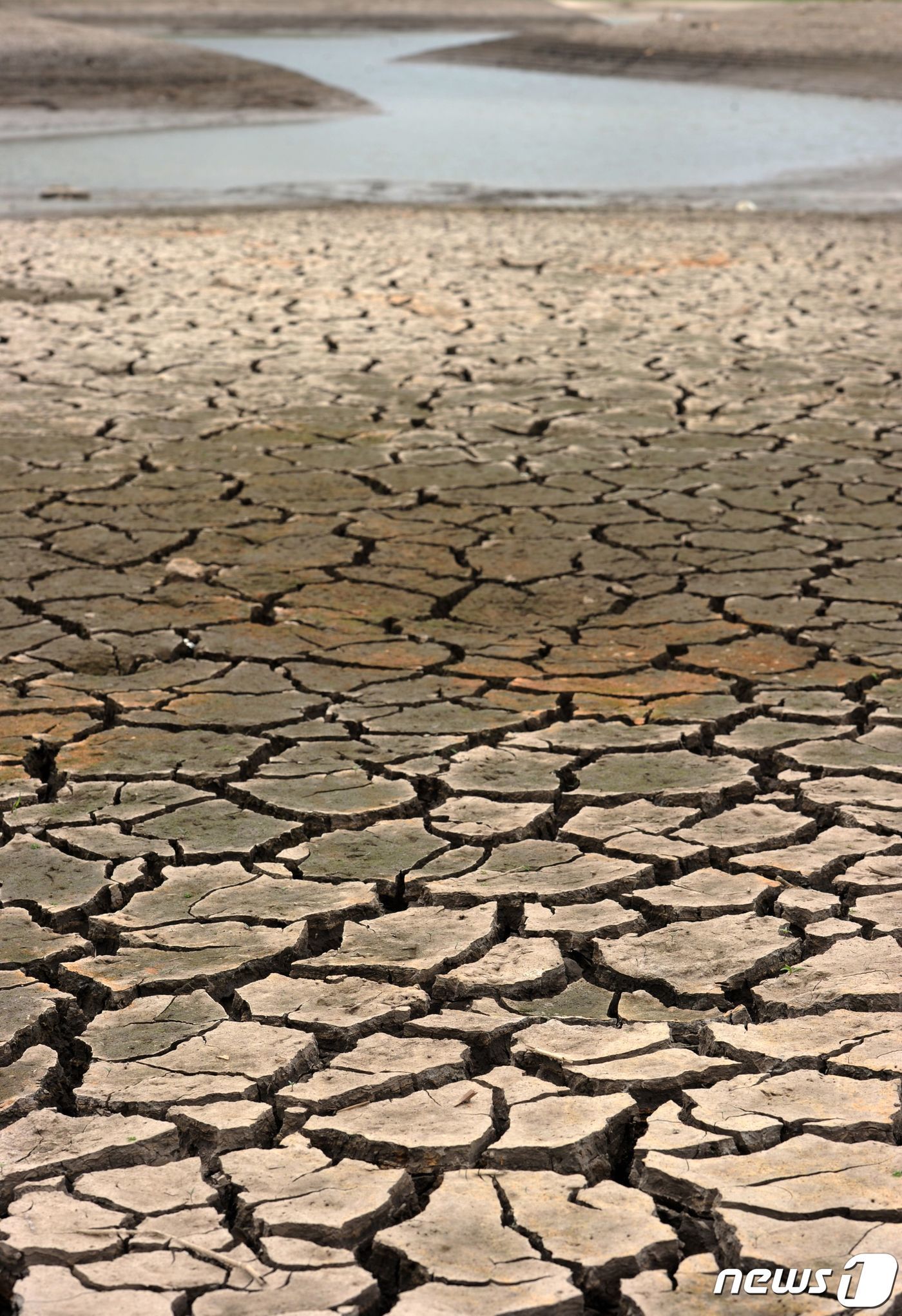 본문 이미지 - 2015년 6월2일(현지시간) 엘니뇨 여파로 가뭄이 닥쳐 온두라스 로스 로렌스 저수지가 말라붙었다. 과학자들은 최근 몇 년간 전 세계에 영향을 미친 라니냐가 소멸하고 엘니뇨가 찾아와 2023년 전례 없는 폭염이 올 것으로 내다보고 있다. 15.06.02 ⓒ AFP=뉴스1 ⓒ News1 김예슬 기자