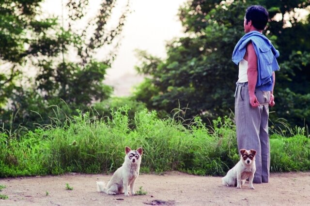  최봉림, 서울 달동네 1990,봉천동,c.1990,inkjet print,24&times;36cm. &#40;서울대미술관 제공&#41;