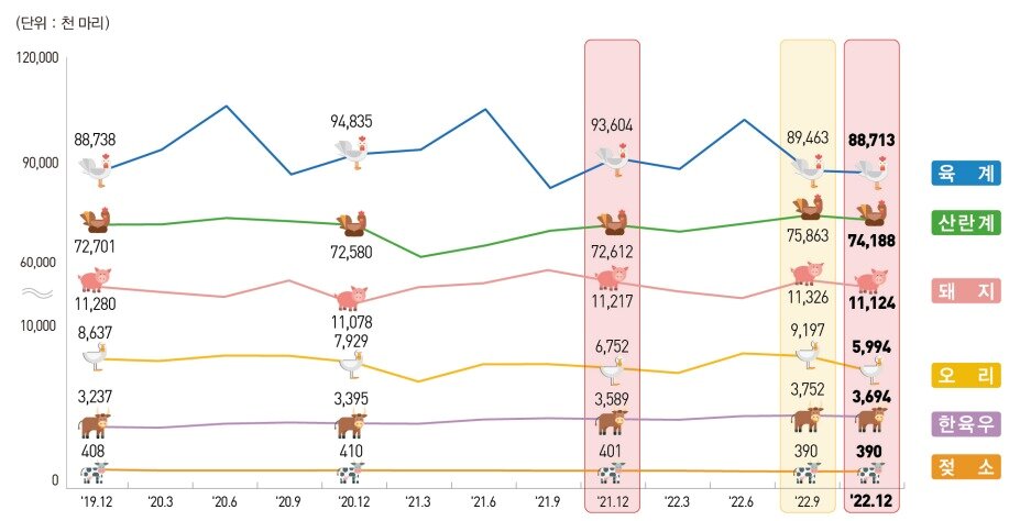 본문 이미지 - (통계청 제공)