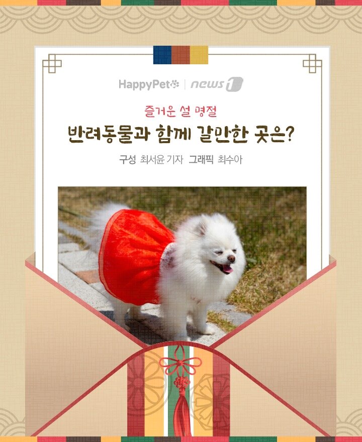 본문 이미지 - 펫카드 설 명절