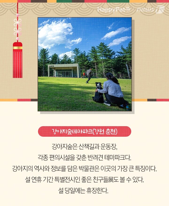 본문 이미지 - 펫카드 설 명절