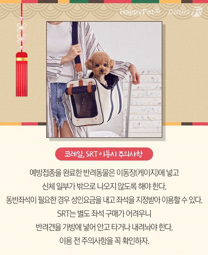 본문 이미지 - 펫카드 설 명절