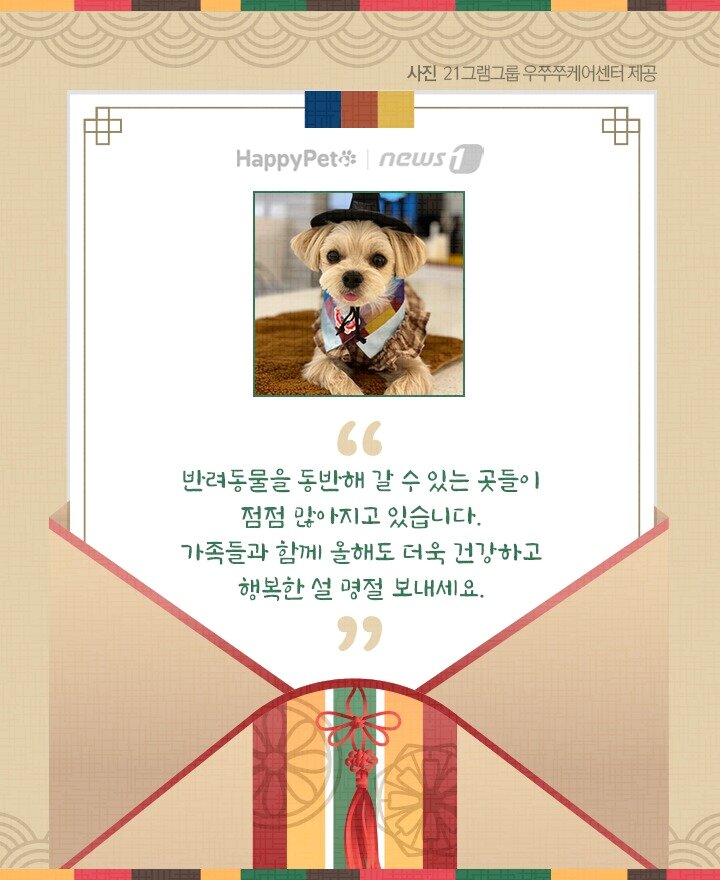 본문 이미지 - 펫카드 설 명절