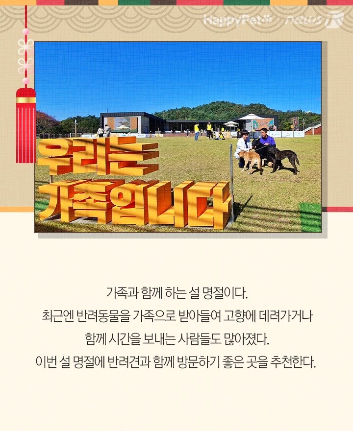 본문 이미지 - 펫카드 설 명절