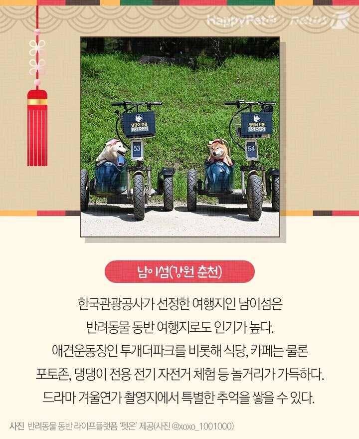 본문 이미지 - 펫카드 설 명절