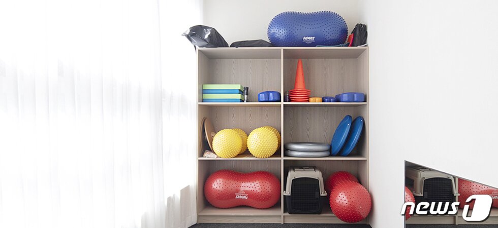 본문 이미지 - 소노펫클럽앤리조트_펫스쿨./뉴스1