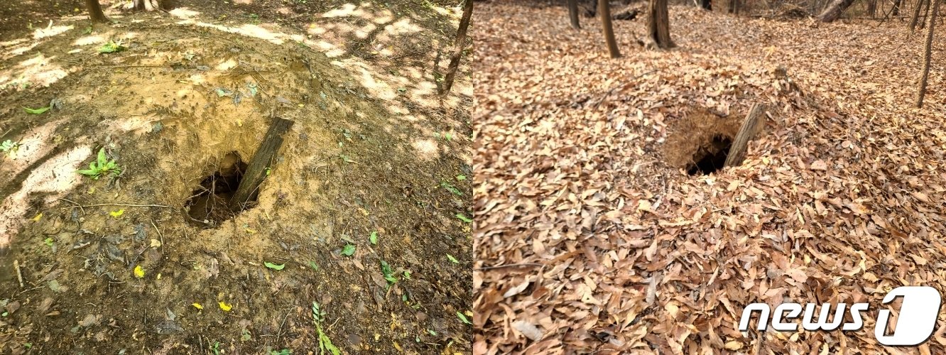 본문 이미지 - 훼손된 무덤 (8월15일 왼쪽, 1월19일 오른쪽) ⓒ News1 조현기 기자
