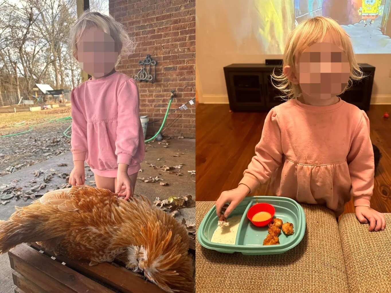 본문 이미지 - (메건 슈미트 페이스북 갈무리)