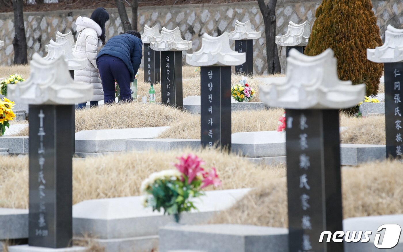 본문 이미지 - 설날인 22일 인천시 부평구 인천가족공원묘지를 찾은 성묘객들이 성묘를 하고 있다. 2023.1.22/뉴스1 ⓒ News1 김도우 기자