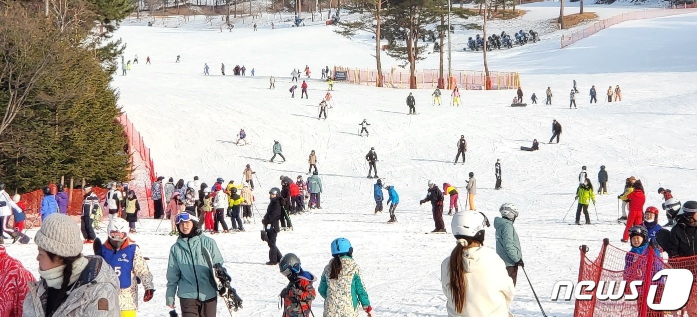 설날인 22일 강원 원주 오크밸리 스키장에는 겨울 스포츠를 즐기려는 스키어와 스노보더들의 발길이 이어졌다. 2023.1.22/뉴스1 신관호기자