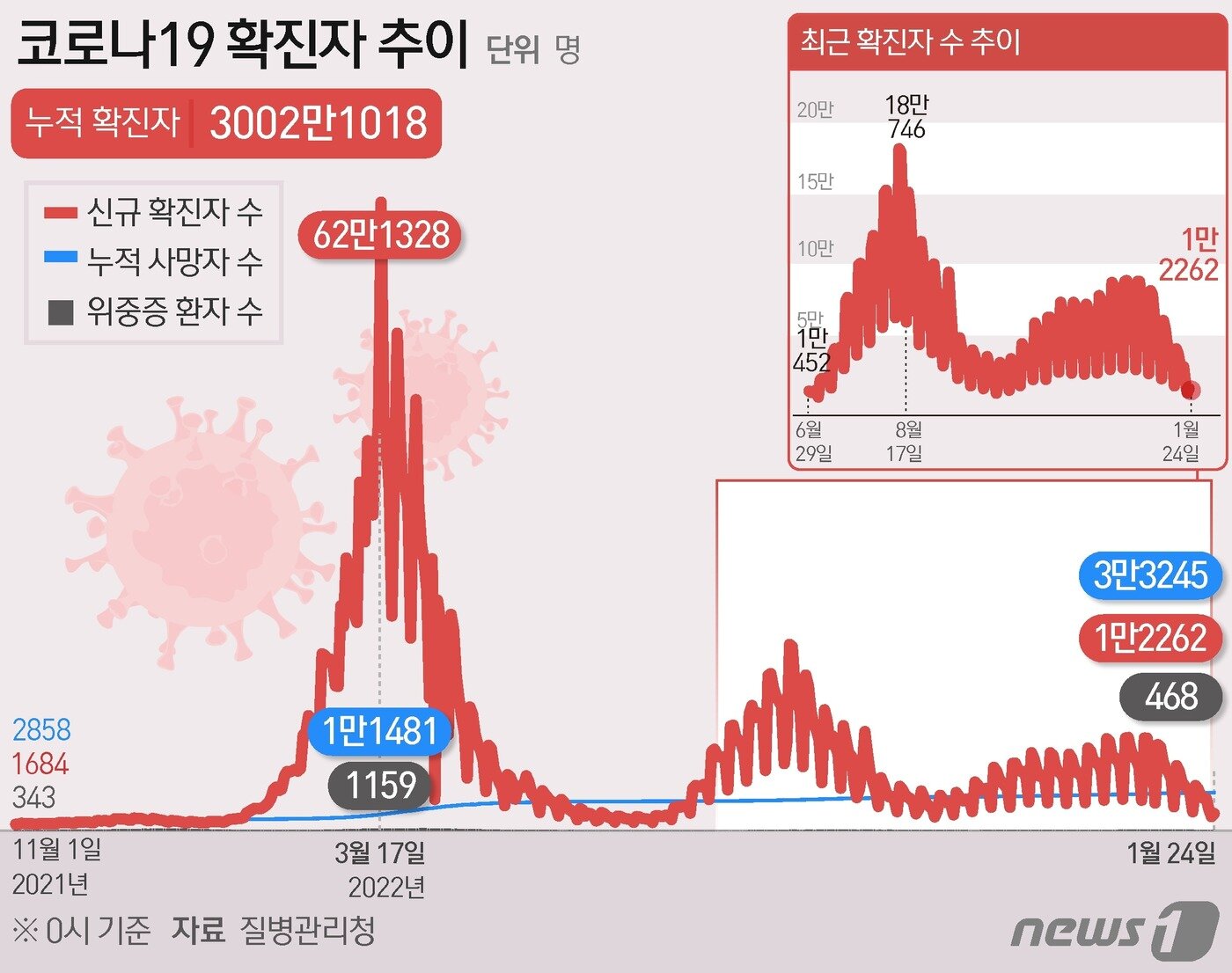본문 이미지 - ⓒ News1 윤주희 디자이너