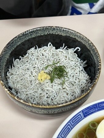 본문 이미지 - 시라스동ⓒ News1 윤슬빈 기자