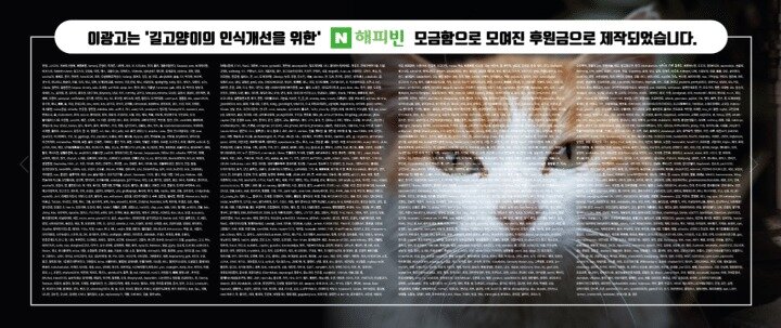 본문 이미지 - 길고양이 인식개선을 위한 버스 광고(나비야사랑해 제공) /뉴스1
