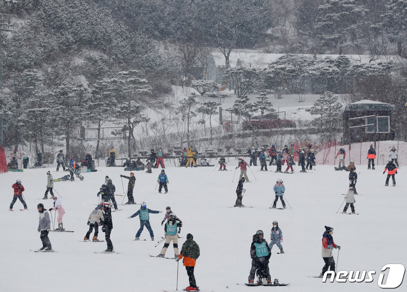 본문 이미지 -  스키와 보드를 타며 겨울을 만끽하는 시민들.(자료사진) ⓒ News1