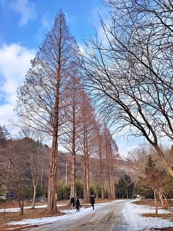 온빚자연휴양림 입구의 산책로&#40;한국관광공사 제공&#41;