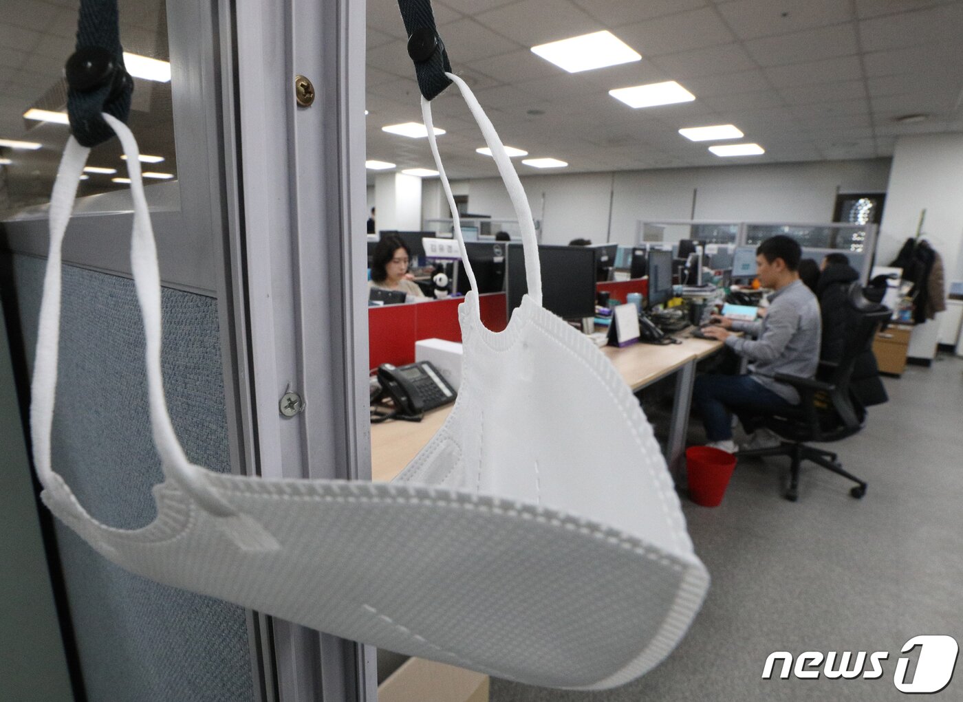 본문 이미지 - 실내 마스크 착용 의무가 해제된 30일 서울 종로구 하나투어 본사에서 직원들이 마스크를 벗고 업무를 보고 있다. 2023.1.30/뉴스1 ⓒ News1 신웅수 기자