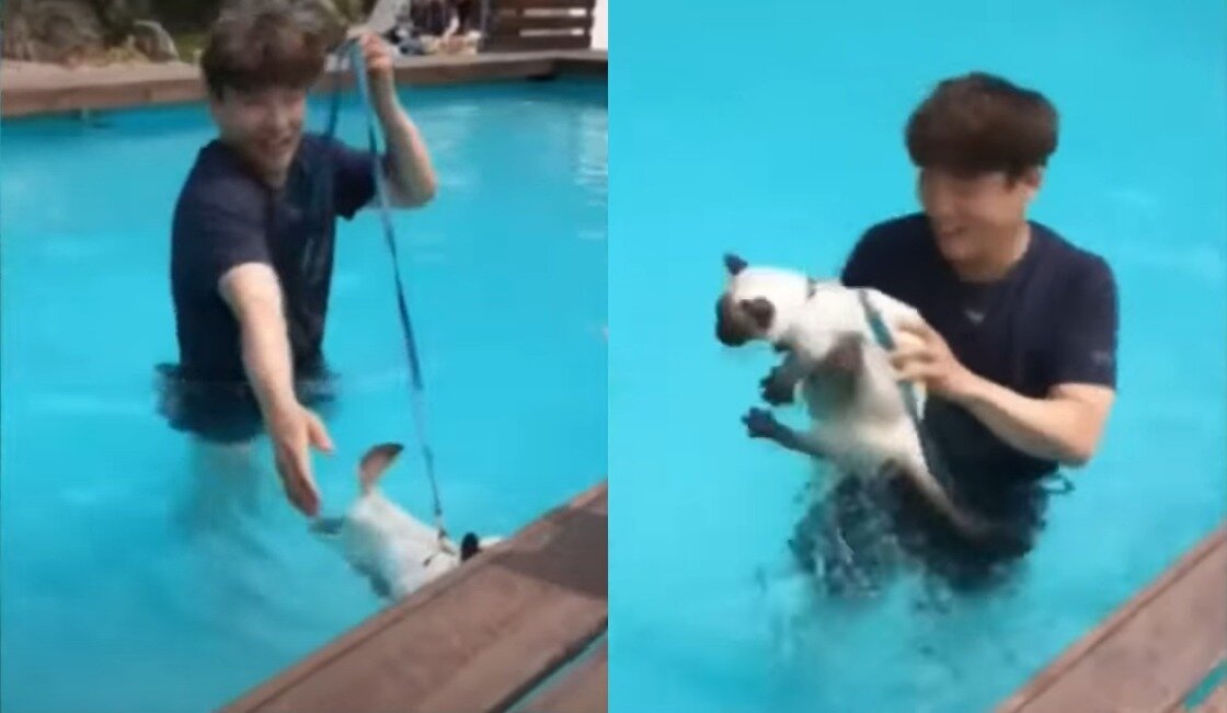 본문 이미지 - 지난해 8월 이기영은 살해한 동거 여성과 함께 한 펜션에 방문했다. 당시 그가 키우던 고양이를 수영장에 빠뜨린 뒤 즐거워하는 모습이 포착됐다. (JTBS '사건반장' 갈무리)