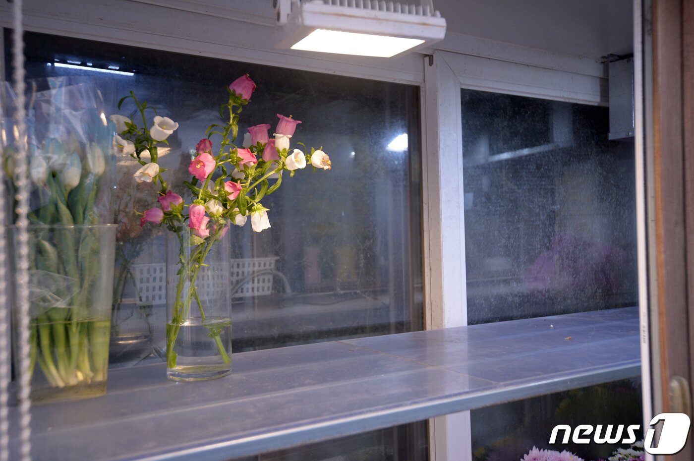본문 이미지 - 6일 오후 광주 동구 한 꽃집의 꽃 보관용 냉장고가 비어있다. 2023.1.6뉴스1 ⓒ News1 이승현 기자