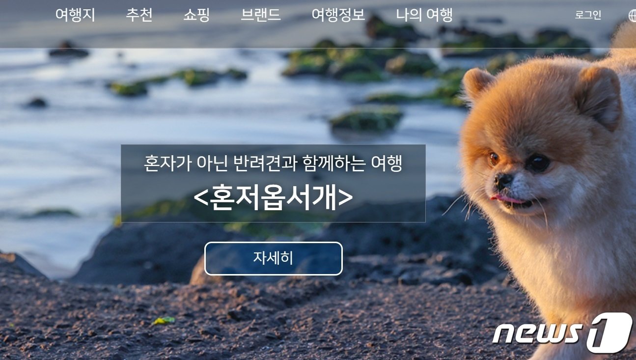 본문 이미지 - 제주관광공사 혼저옵서개 홈페이지