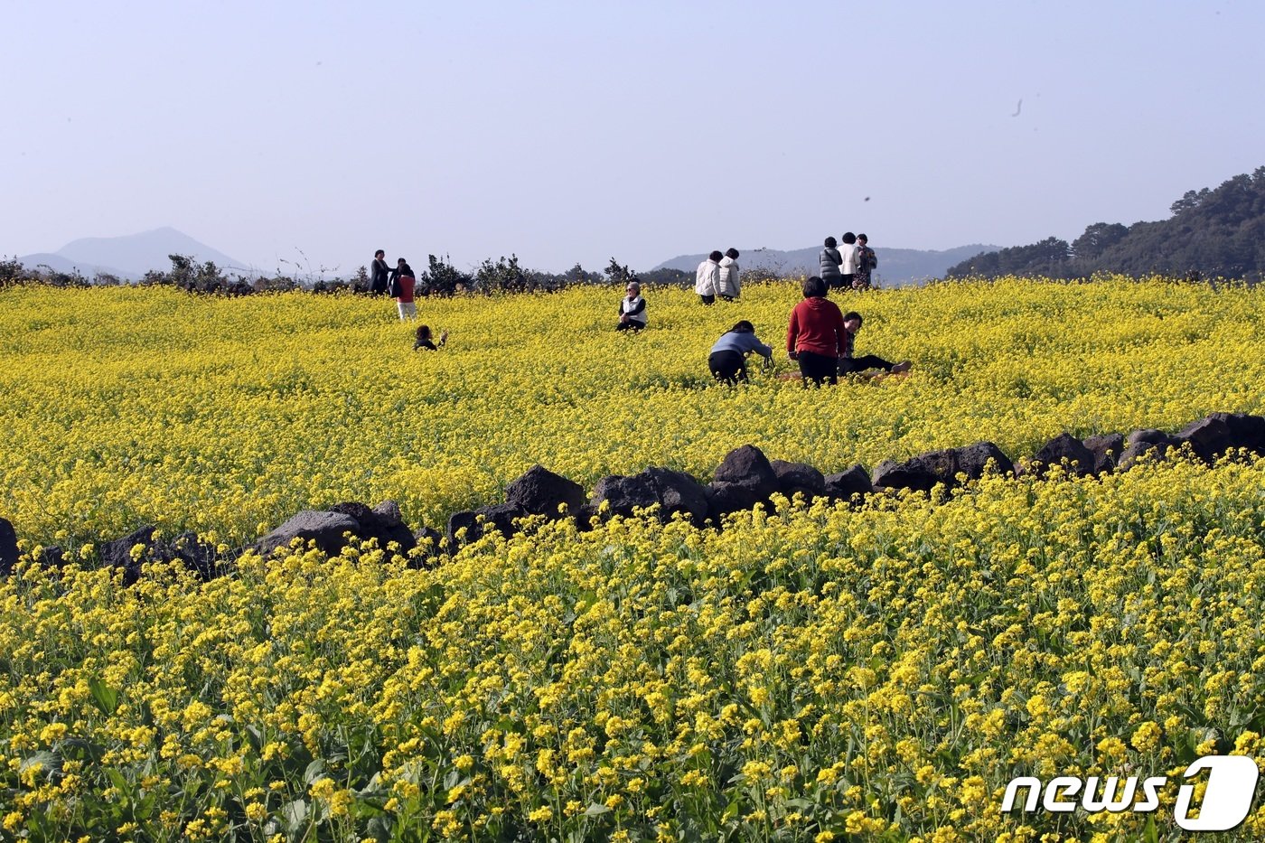 오늘의 날씨] 제주(10일, 화)…차차 구름 많음, 낮 최고 13~14도