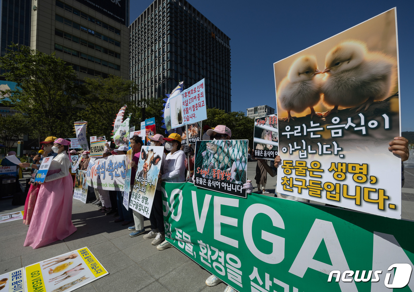 (서울=뉴스1) 이재명 기자 = 한국채식연합·세계비건기후행진 회원들이 세계 채식인의 날인 1일 오후 서울 세종대로 광화문광장에서 열린 ‘건강·동물·지구를 살리는 비건(vegan) …