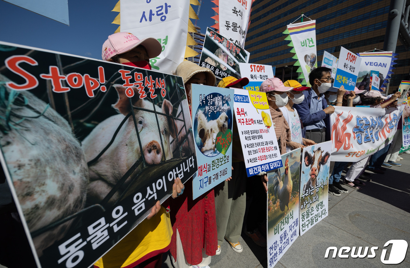 (서울=뉴스1) 이재명 기자 = 한국채식연합·세계비건기후행진 회원들이 세계 채식인의 날인 1일 오후 서울 세종대로 광화문광장에서 열린 ‘건강·동물·지구를 살리는 비건(vegan) …